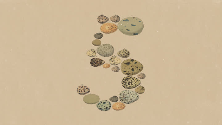 Publication image for Claude Opus 5