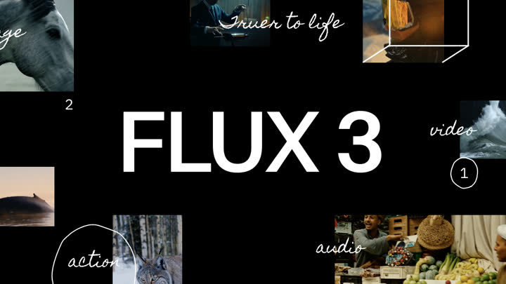 Publication image for FLUX 3