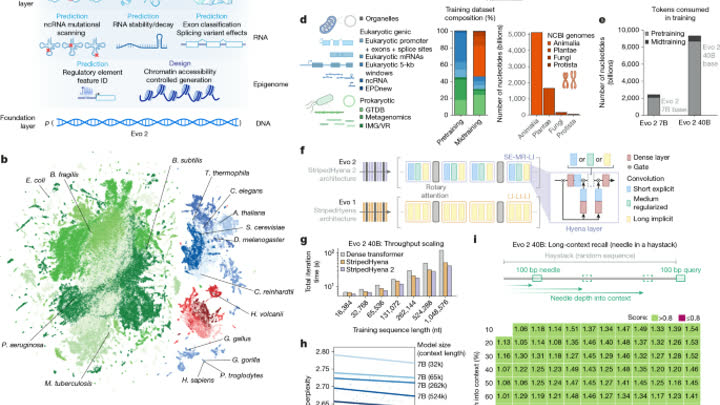 Publication preview for Evo 2 genome model