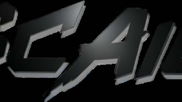Publication preview for SCAIL